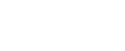 Fleuriste Villeurbanne